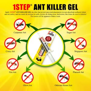 The Pest Control Specialist Ant Killer Gel Kill All Types of Ants