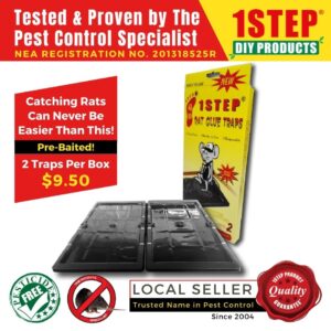 1STEP Rat Glue Traps (2 traps/box) – Pre-Baited – Easy to use