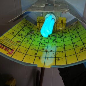 1STEP Glue Paper 10pc/Pack for use with Fly Shield Solo – Specially Formulated with Quality Adhesion & Flies Attractant